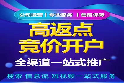 专业sem托管服务案例，揭秘广告投放优化策略